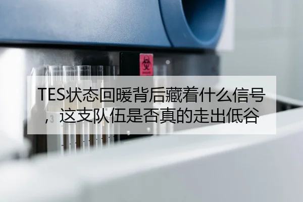 TES状态回暖背后藏着什么信号，这支队伍是否真的走出低谷